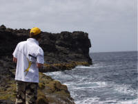 Sea fishing