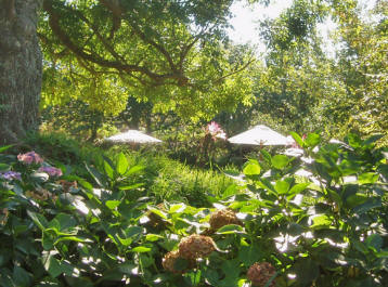 Garden dining al fresco at La Sablonnerie, Sark